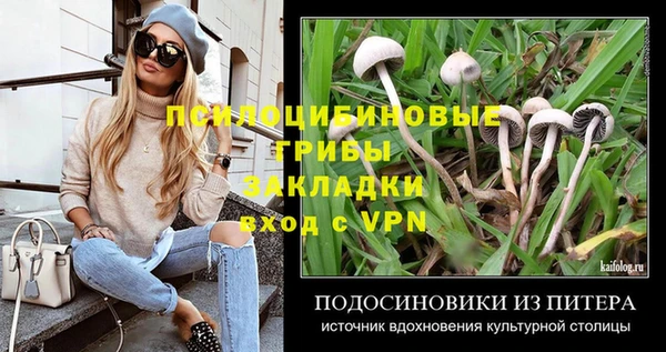 ECSTASY Киренск